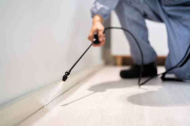 Licensed Termite Control service in La Vale, MD - Nex Pest Control