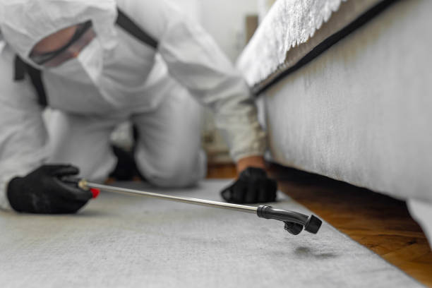 Professional Termite Control technician working in La Vale, MD
