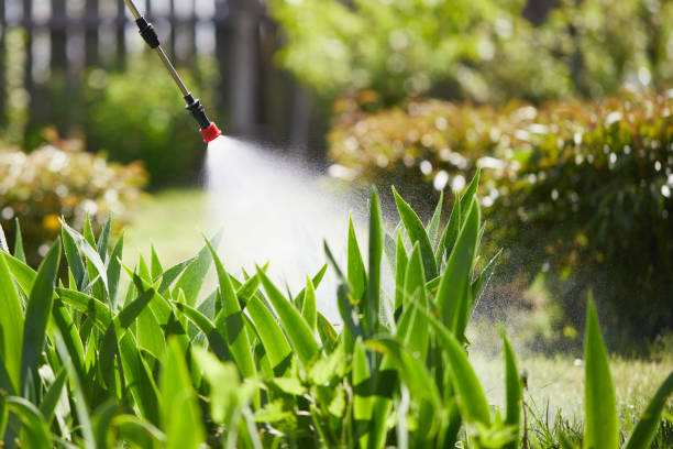 24/7 Emergency Termite Control experts in La Vale, MD