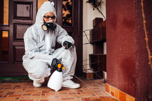 Reliable Termite Control contractor in La Vale, MD by Nex Pest Control